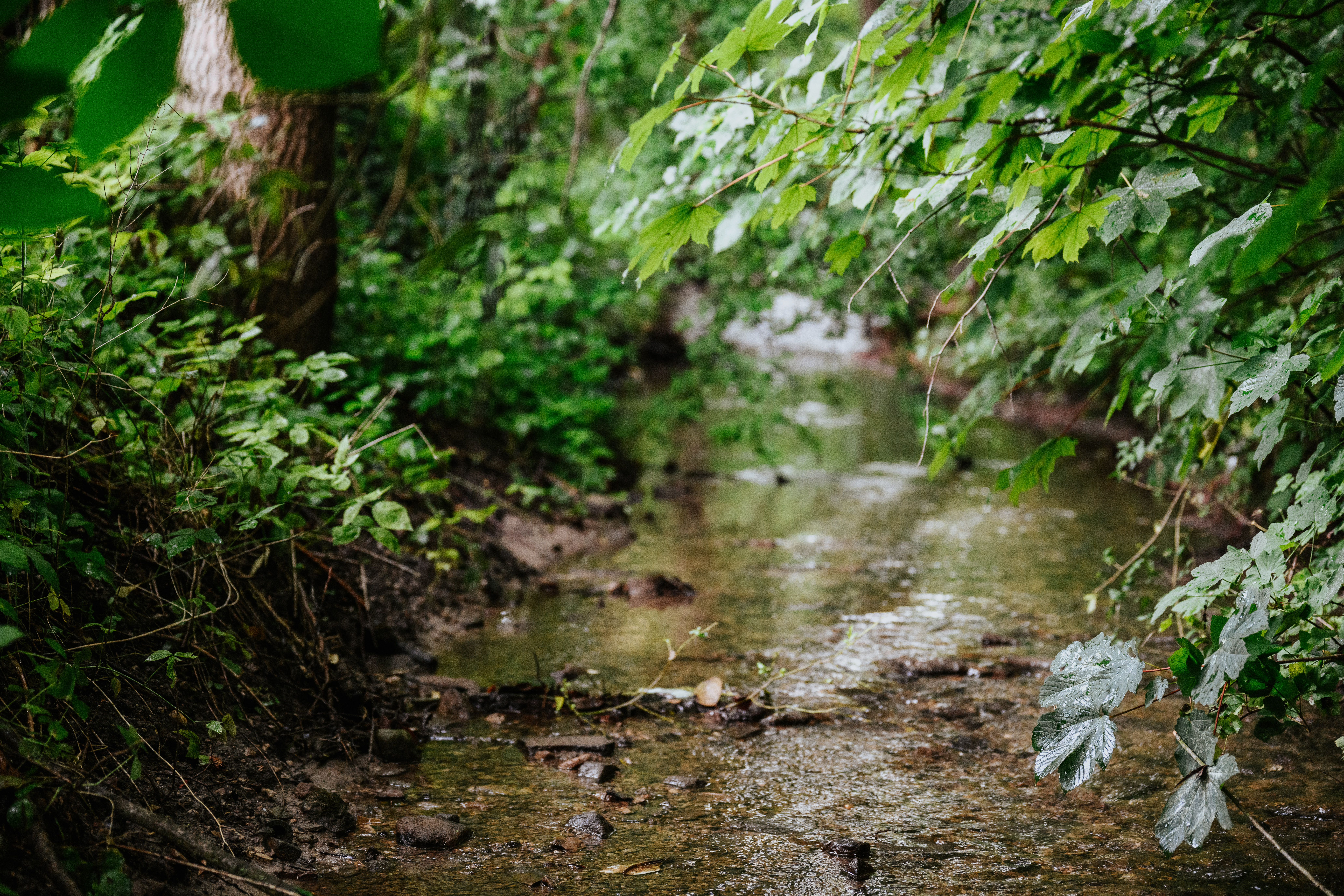 OpenRiverSense Foto 1